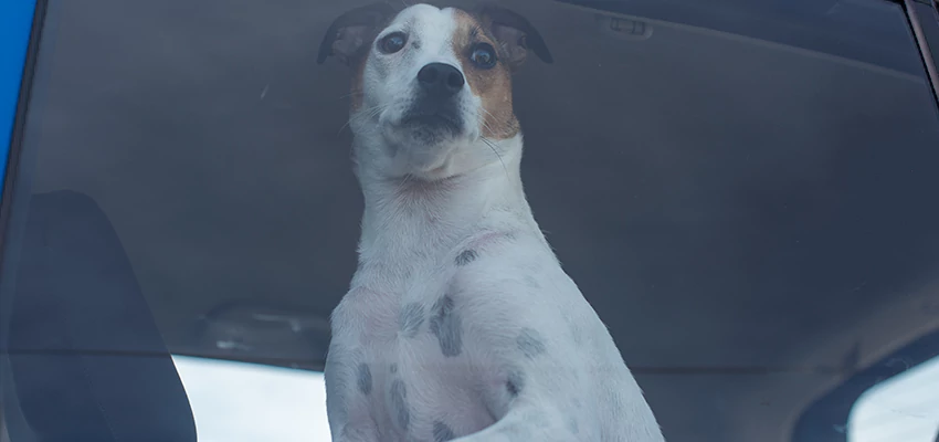 Car Lockout Solutions in Oroville, California